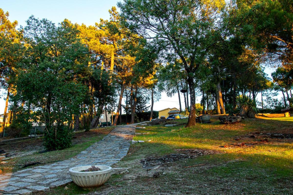Cadalso de los Vidrios Casa Cadalso, Mirador De Gredos, Madrid旅馆 外观 照片
